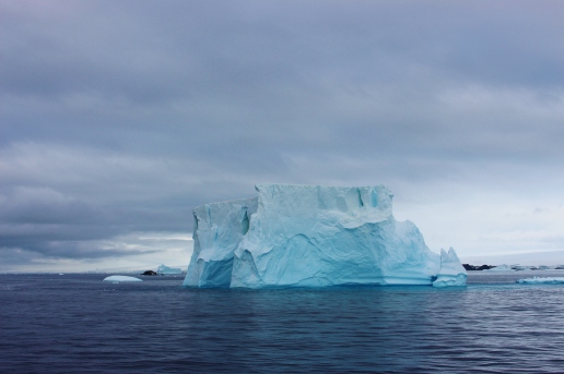 7. Iceberg Copyright Natalia Messer